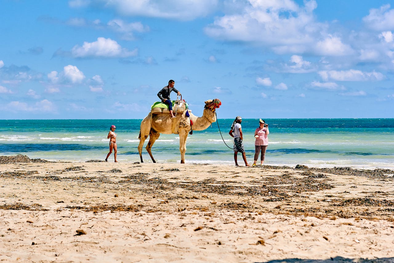Diani Beach - Kenya's Tropical Paradise for Beach Holidays | Puercoespin Safaris