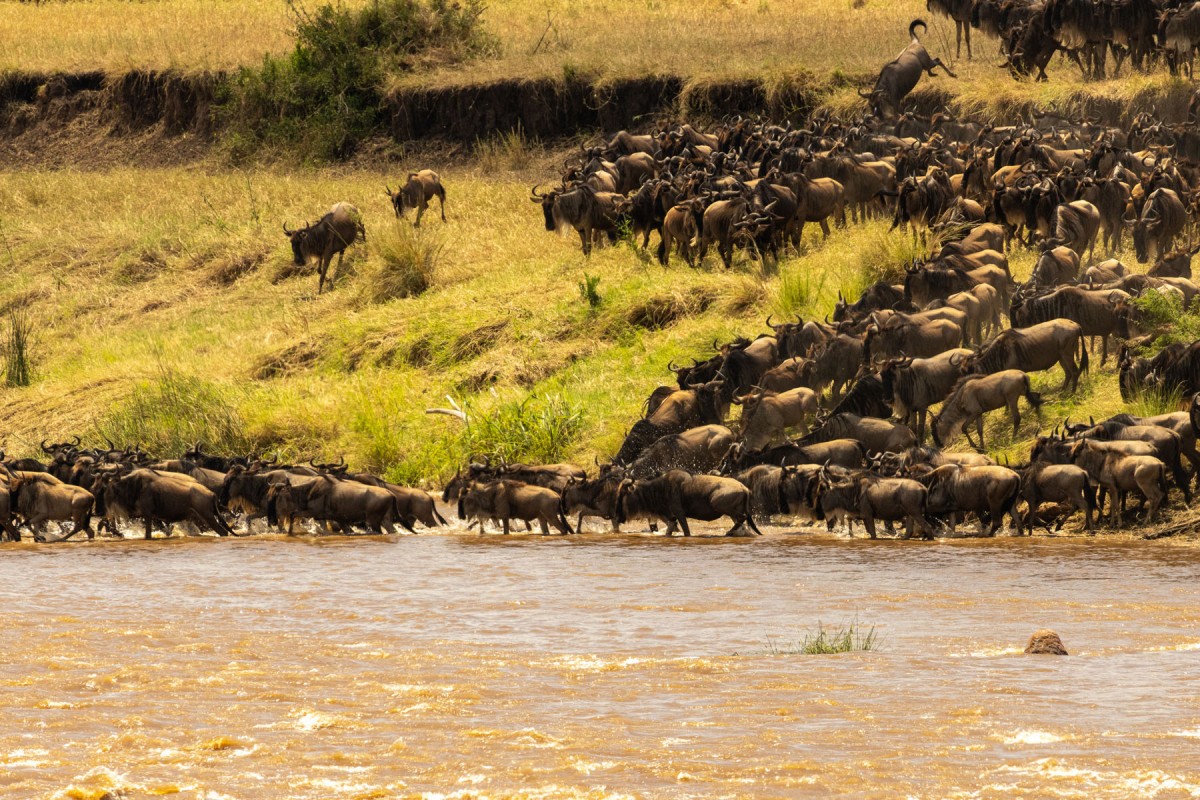 Serengeti National Park