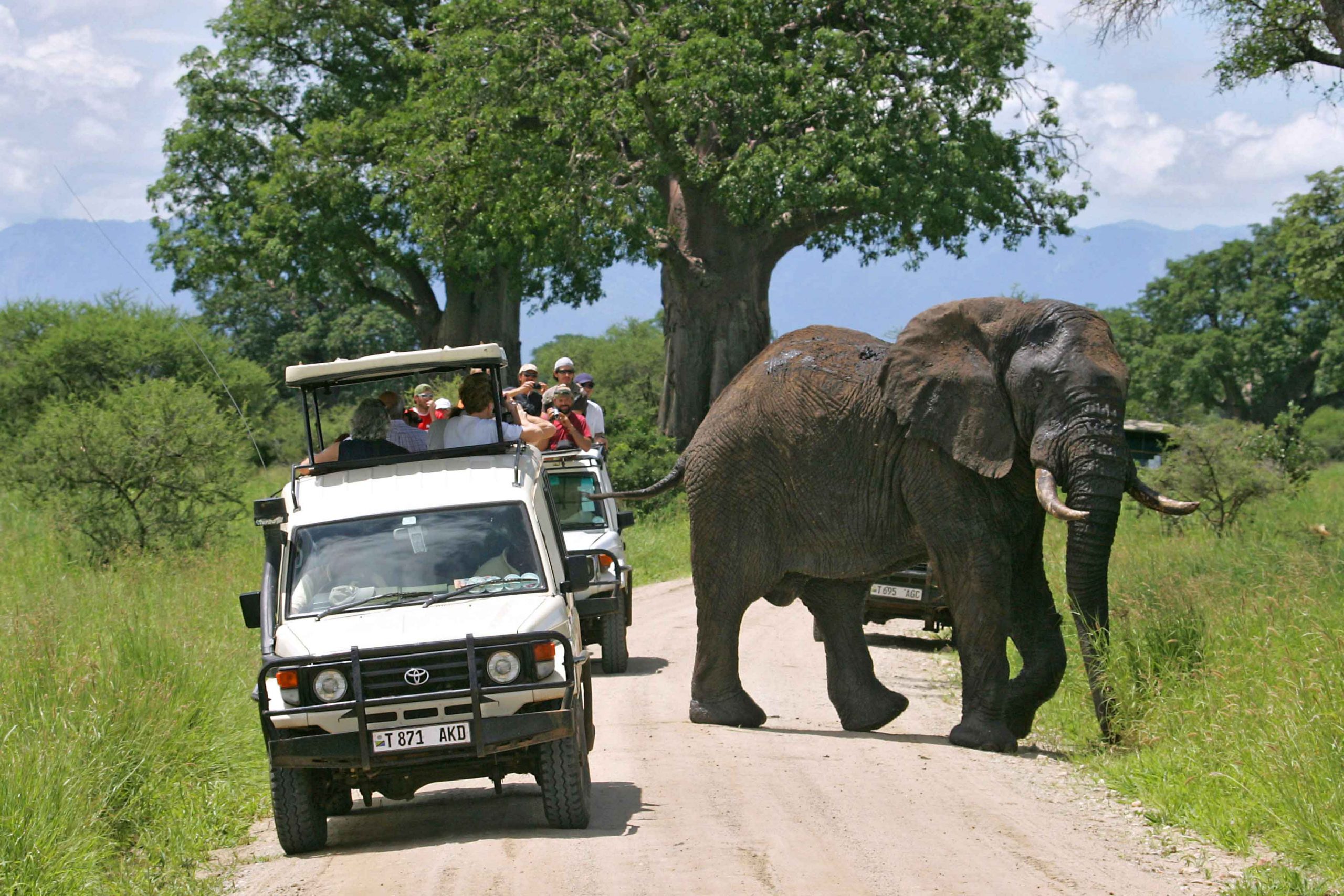 Tarangire National Park