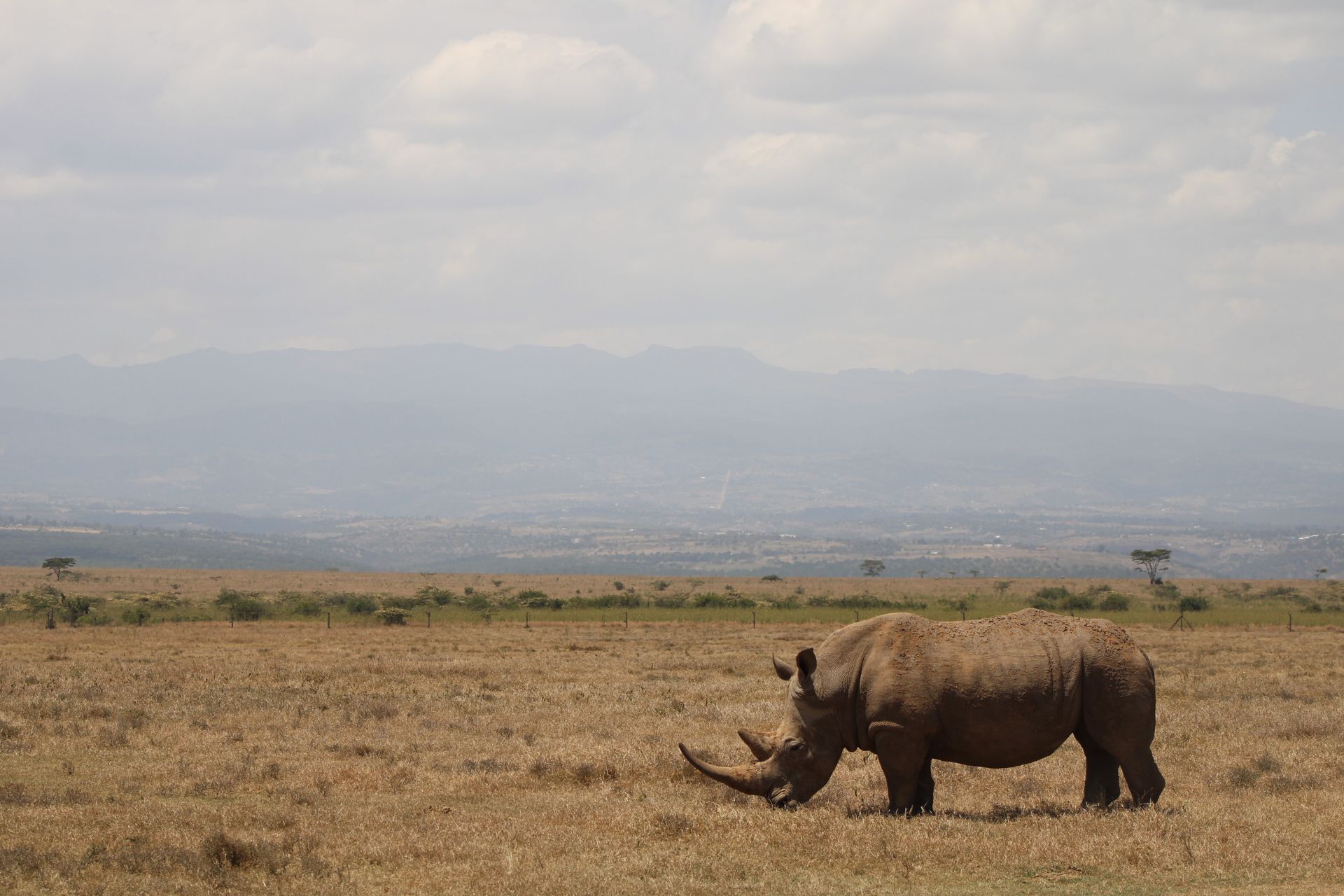 6-Day Aberdares, Ol Pejeta, Naivasha, Amboseli Safari