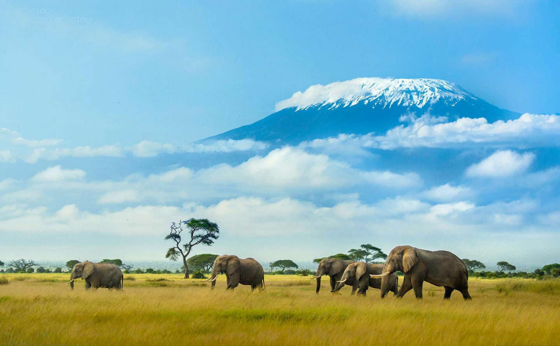 Lake Nakuru & Naivasha Wildlife Explorer