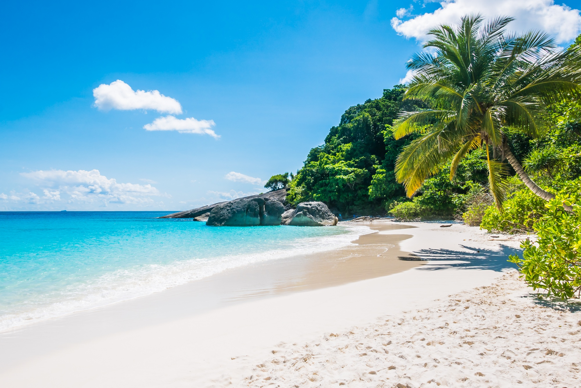 Watamu Marine Park & Beach Retreat